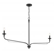 Minka-Lavery 3825-899 - Velena 50" 2-Light Chandelier