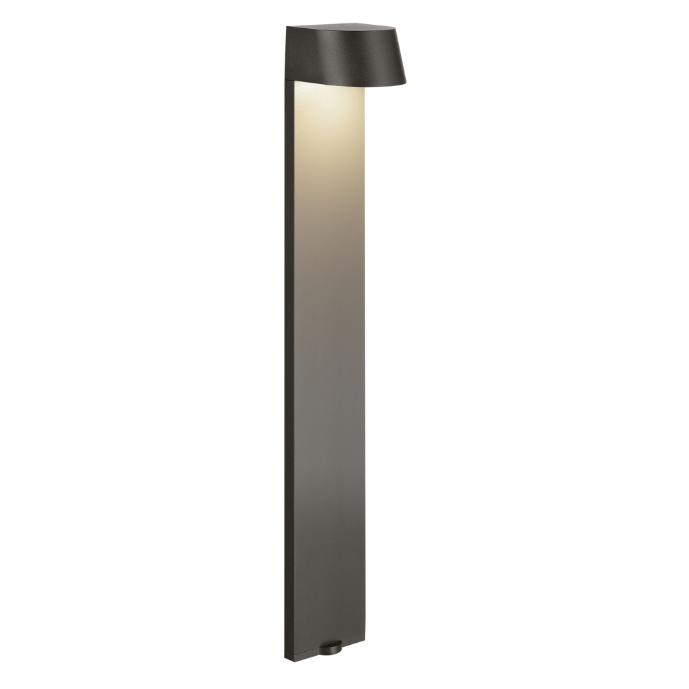 LED Flared Top Path Light