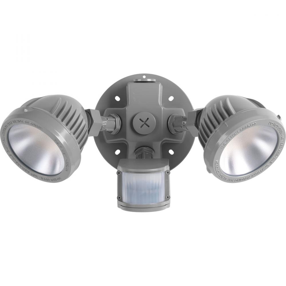 Two-Light Security/Flood Light With Motion Sensor