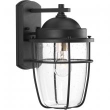 Progress P560066-031 - Holcombe Medium Wall Lantern