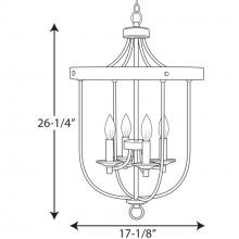 PROG_P500157dimensions_lineart.jpg