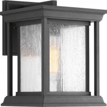 Progress P5605-31 - Endicott Collection One-Light Small Wall Lantern