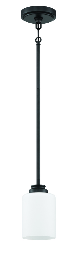 1 Light Mini Pendant