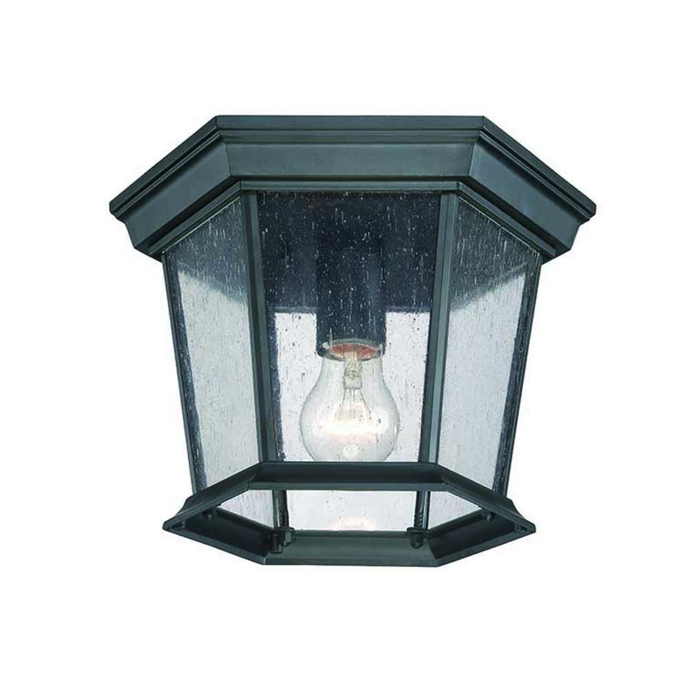 Dover Collection Ceiling-Mount 1-Light Outdoor Matte Black Light Fixture