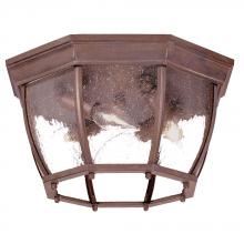 Acclaim Lighting 5603BW/SD - Flushmount Collection Ceiling-Mount 4-Light Outdoor Burled Walnut Light Fixture