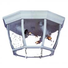 Acclaim Lighting 5603TW/SD - Flushmount Collection Ceiling-Mount 4-Light Outdoor Textured White Light Fixture