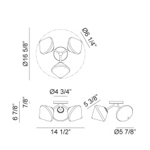 X81743BKOP_B.jpg