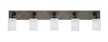 Toltec Company 1775-MBDW-3001 - Bathroom Lighting