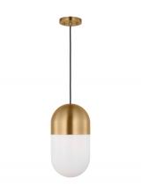 Visual Comfort & Co. Studio Collection DJP1141SB - Medium Pendant