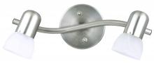 Canarm IT9251 - Jasper 2 Light Track Lighting, Pewter Finish