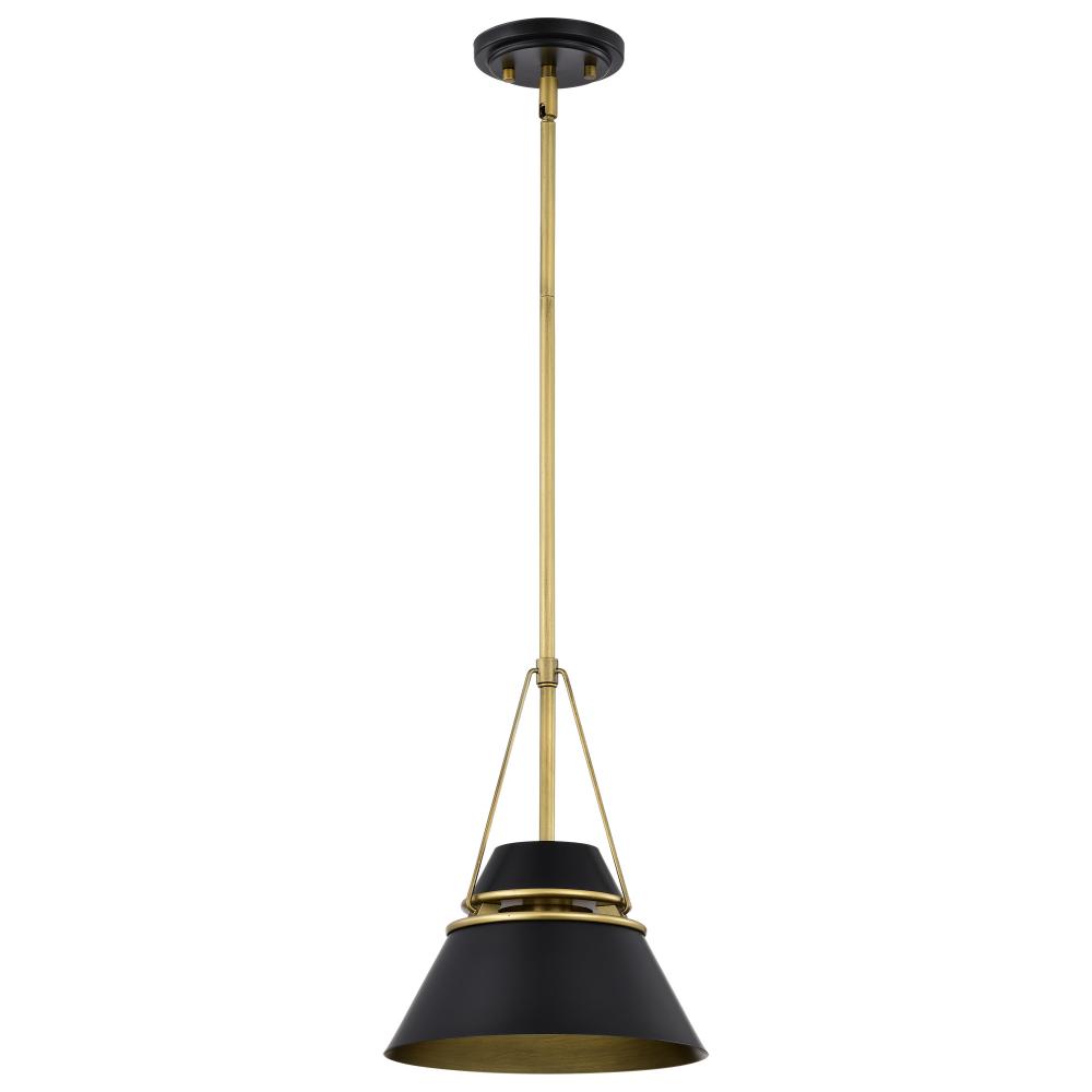 Adina 1 Light Small Pendant; Matte Black and Natural Brass Finish