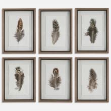 Uttermost 41460 - Birds Of A Feather Framed Prints, S/6