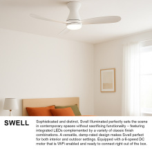 903456FWW-LDD_Swell_extra1.jpg