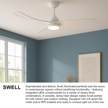 903856FWW-LDD_Swell_extra1.jpg