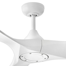 903856FWW-LDD_alt7_01.jpg