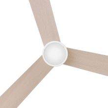 907552FMW-LDD_Speck_alt7.jpg