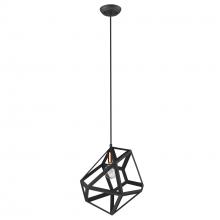 Trend Lighting by Acclaim TP30081BK - Hedron 1-Light Pendant