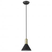 Trend Lighting by Acclaim TP30101BK - Ingo 1-Light Pendant